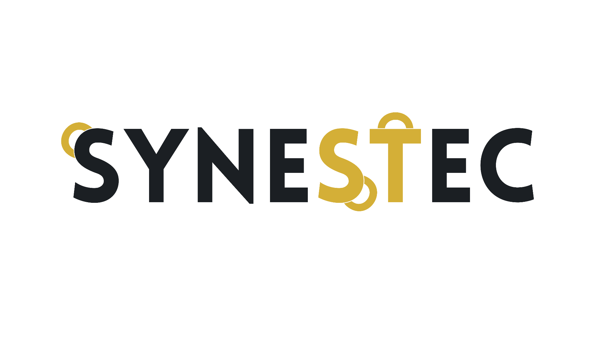 Synestec - Ir a inicio